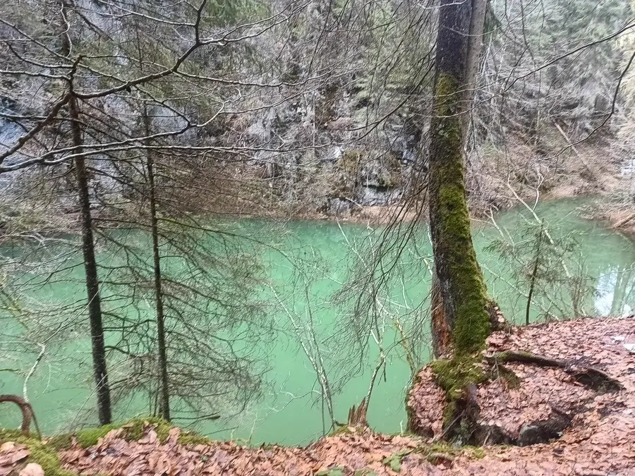 Peștera Coiba Mică, în apropiere de Casa de Piatră, Arieșeni