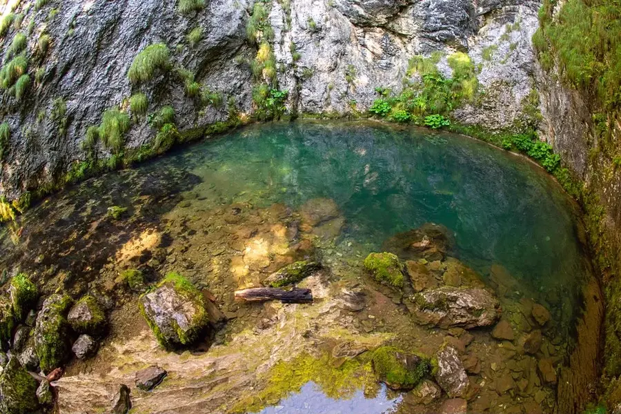 Izbucul Tăuz, izvor carstic lângă Casa de Piatră, Arieșeni
