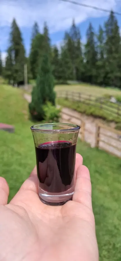 Pahar cu țuică de casă, în curtea cabanei, cu Munții Apuseni în fundal